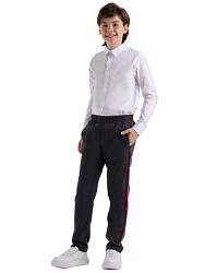 Брюки, цвет: серый, артикул: KJBCP15-93