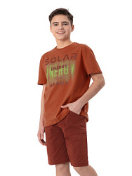 Футболка, цвет: кирпичный, артикул: NJBCT25-D4