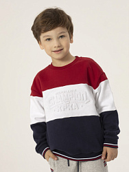 Свитшот, цвет: бордовый, артикул: OKBCJ04-MH