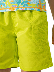 Шорты плавательные, цвет: лайм, артикул: NUBSB04-61