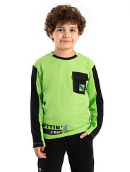 Лонгслив, цвет: салатовый, артикул: MKBCL07-UB