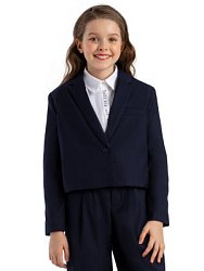 Пиджак, цвет: синий, артикул: MJGCE01-Z4