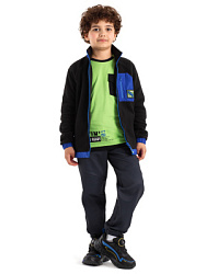 Брюки софтшелл, цвет: серый, артикул: KKBCP20-93